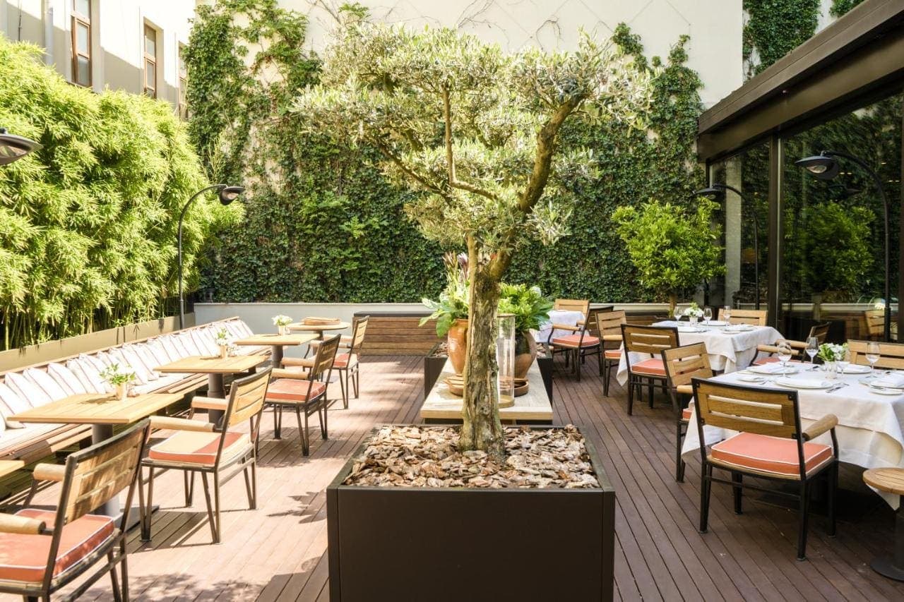 The garden restaurant terrace among olive trees