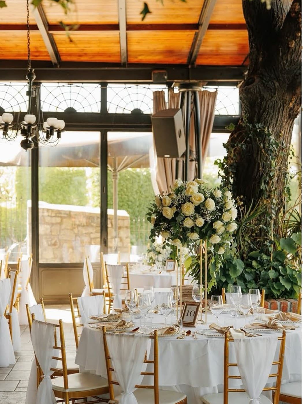 Tables set around the old tree inside the conservatory